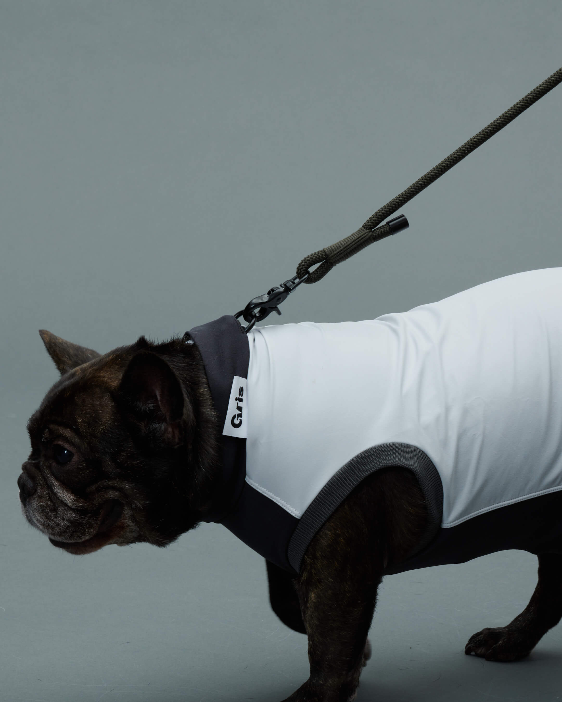 Gris PRODUCT THE LEASH