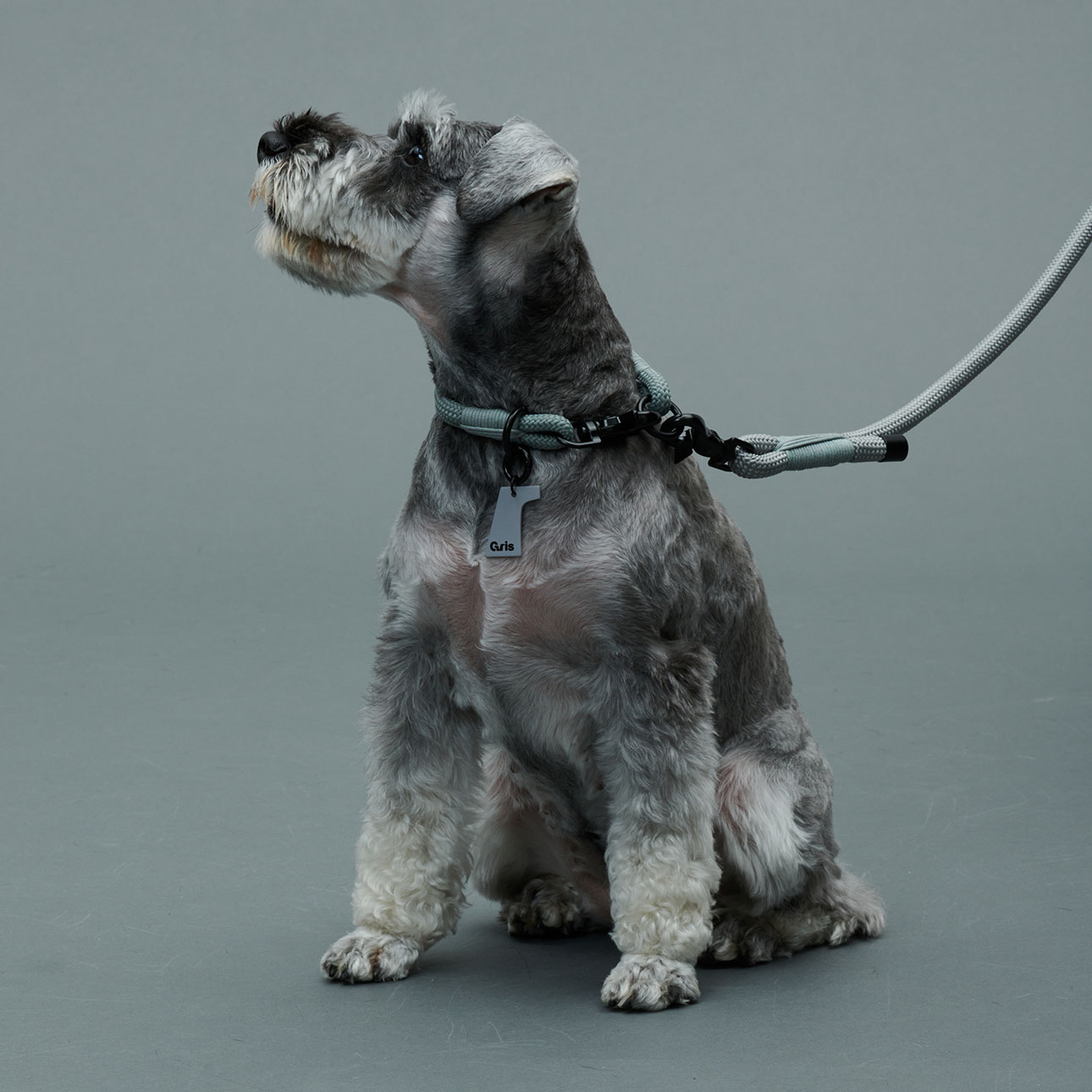 Gris PRODUCT THE LEASH