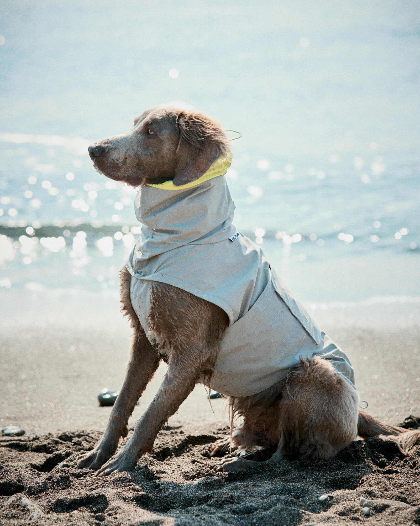 HH×Gris ALL WEATHER COAT