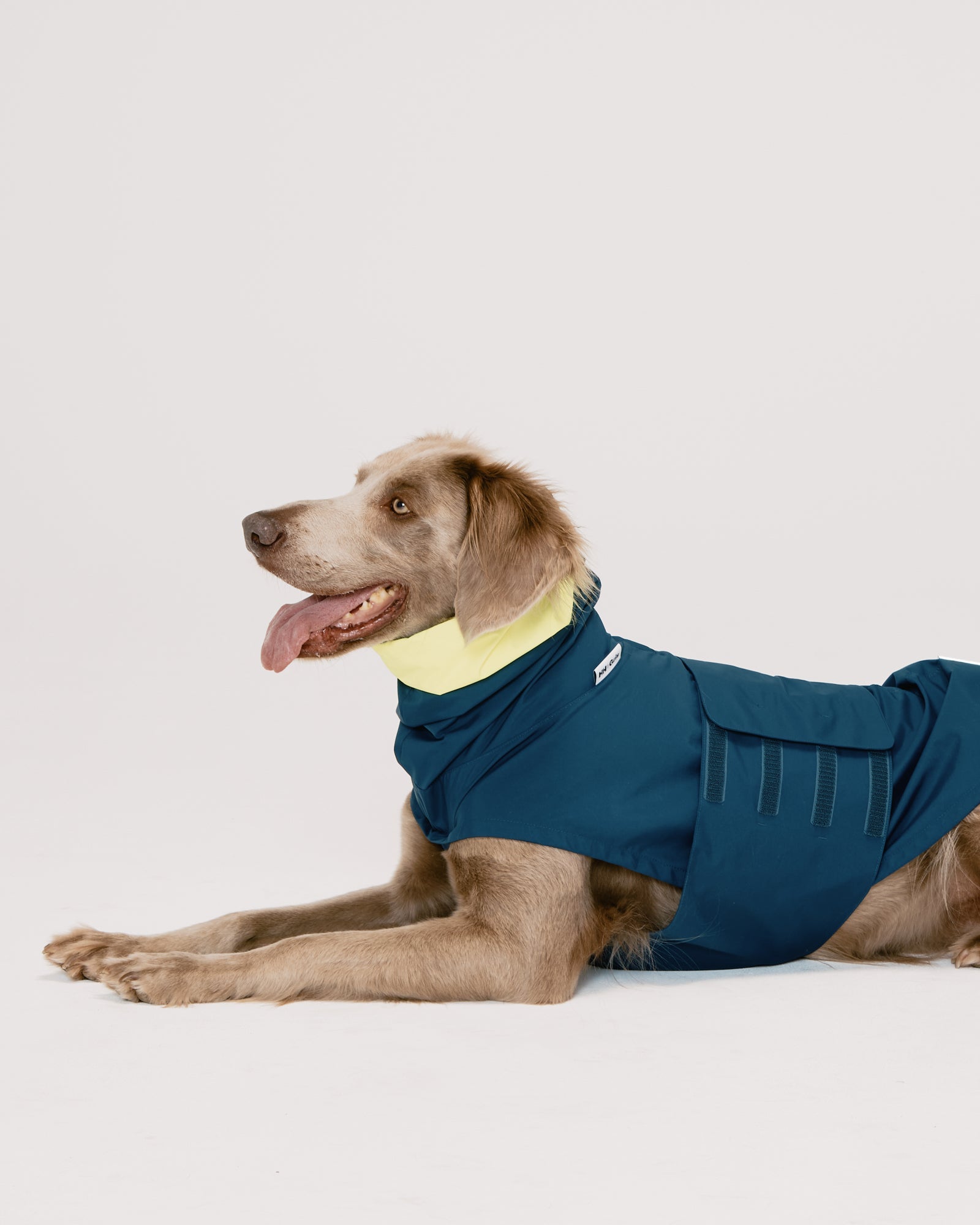 HH×Gris ALL WEATHER COAT