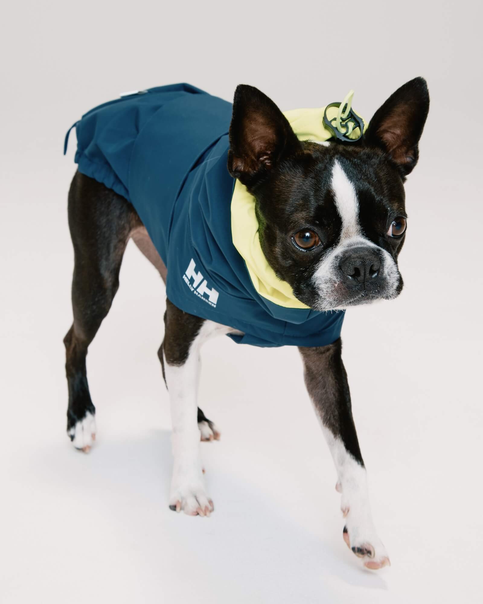 HH×Gris ALL WEATHER COAT