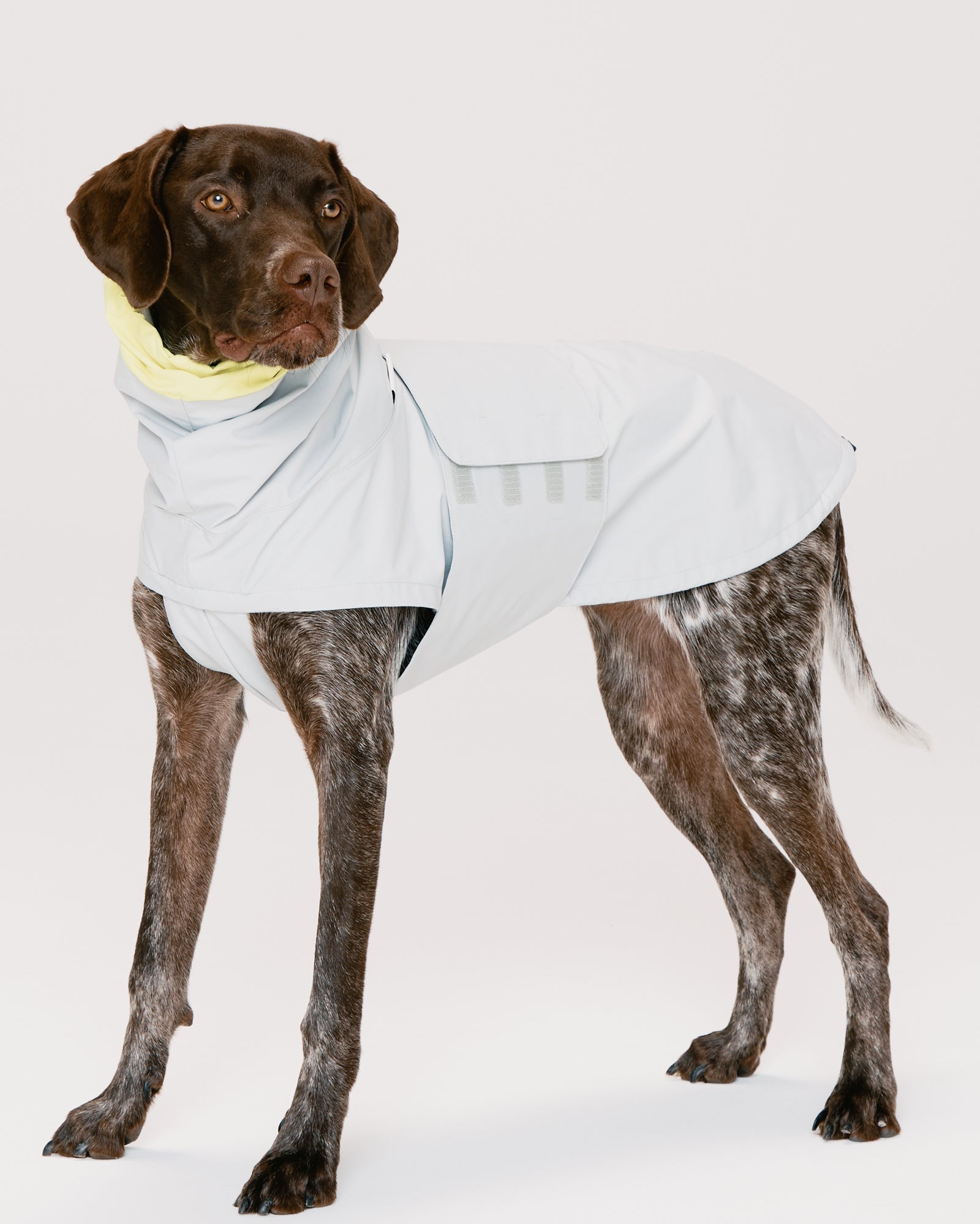 HH×Gris ALL WEATHER COAT