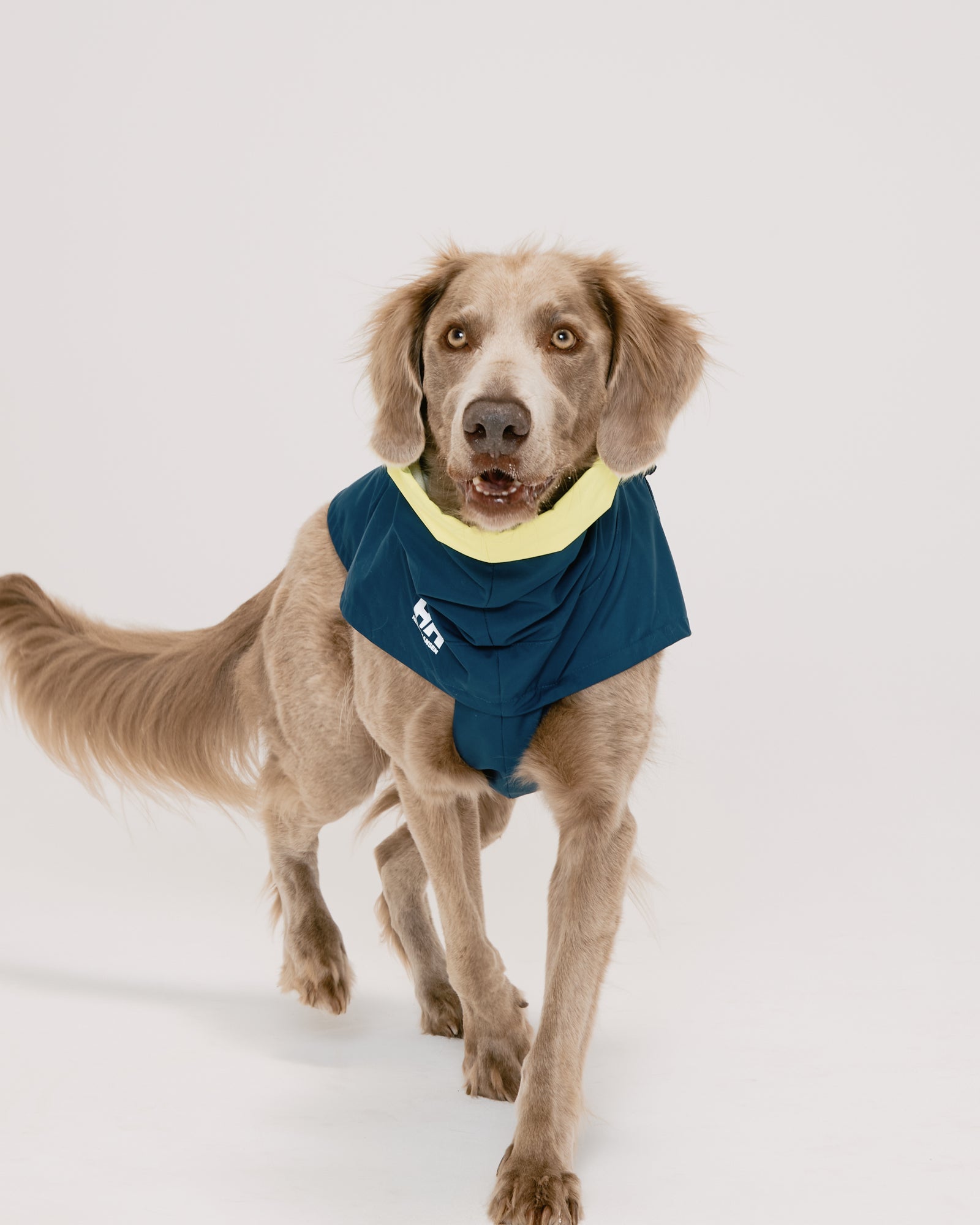 HH×Gris ALL WEATHER COAT