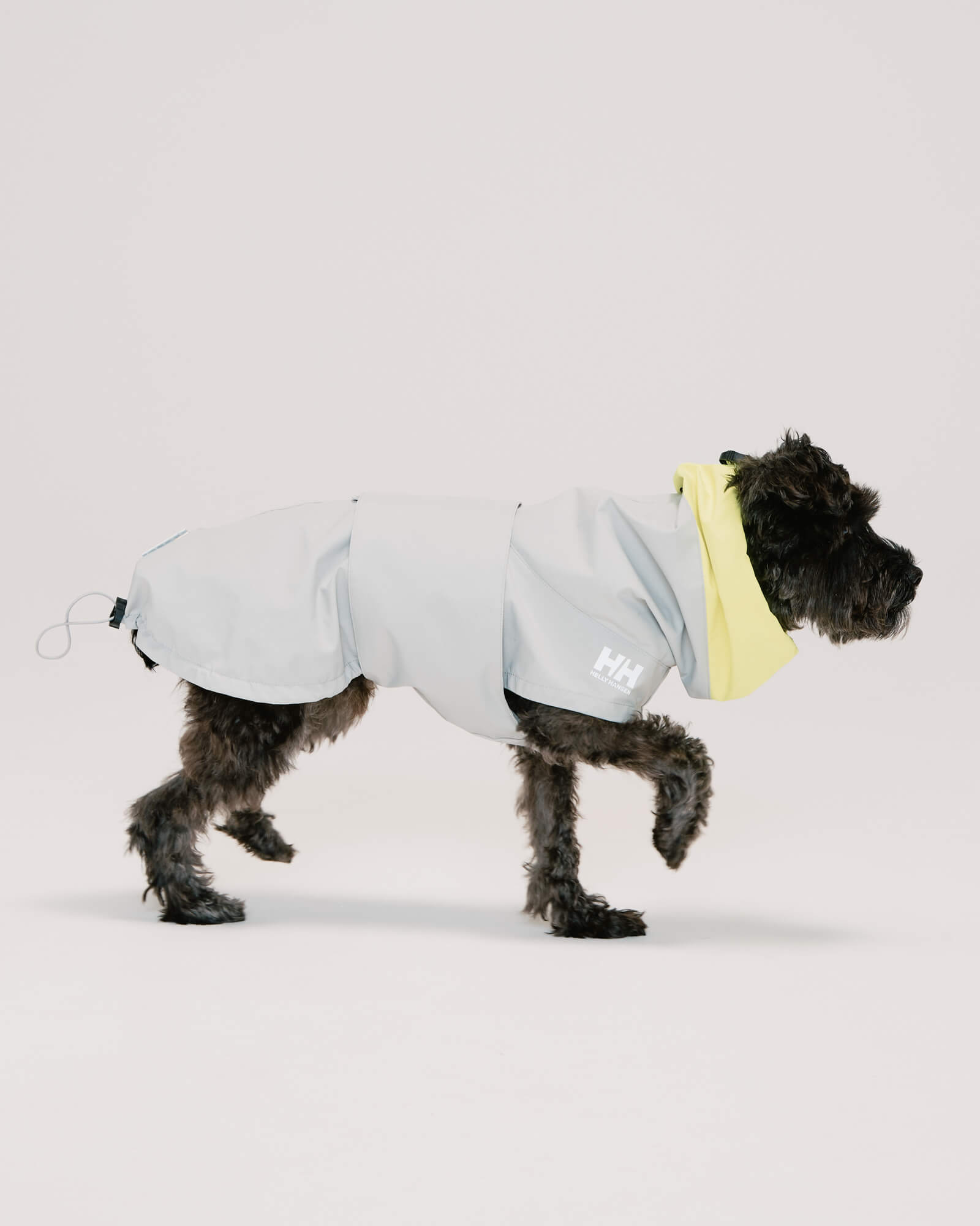 ミニチュアシュナウザー/首囲30胸囲48着丈39cm体重8kg/ALL WEATHER COAT Aluminum S