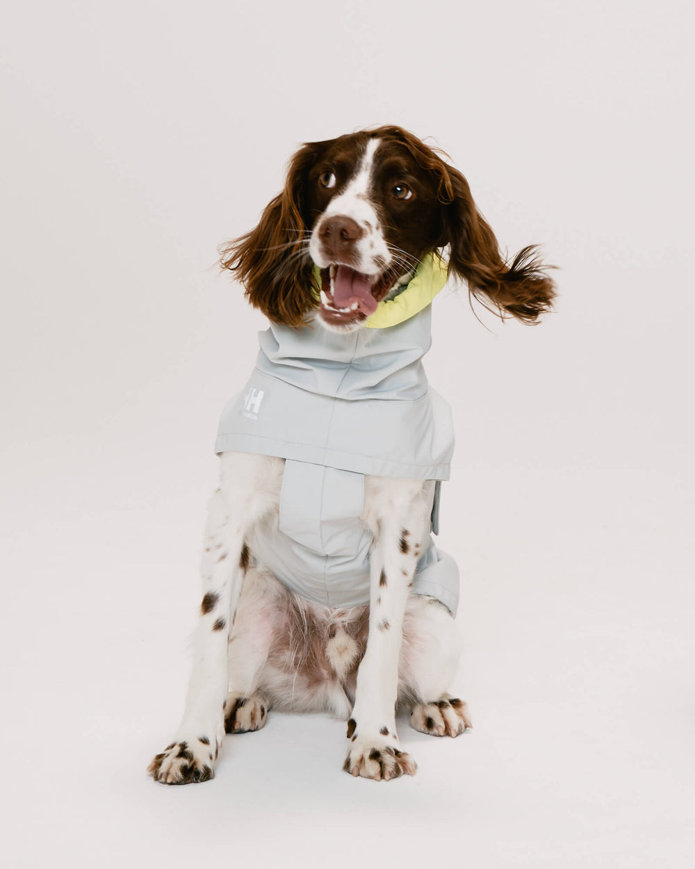 ブリタニースパニエル/首囲34胸囲57背丈47cm/ALL WEATHER COAT Aluminum L