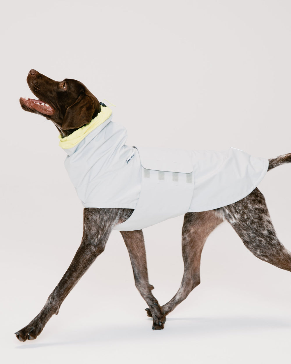 ジャーマンポインター/首囲30胸囲69着丈59cm体重24kg/ALL WEATHER COAT Aluminum XL