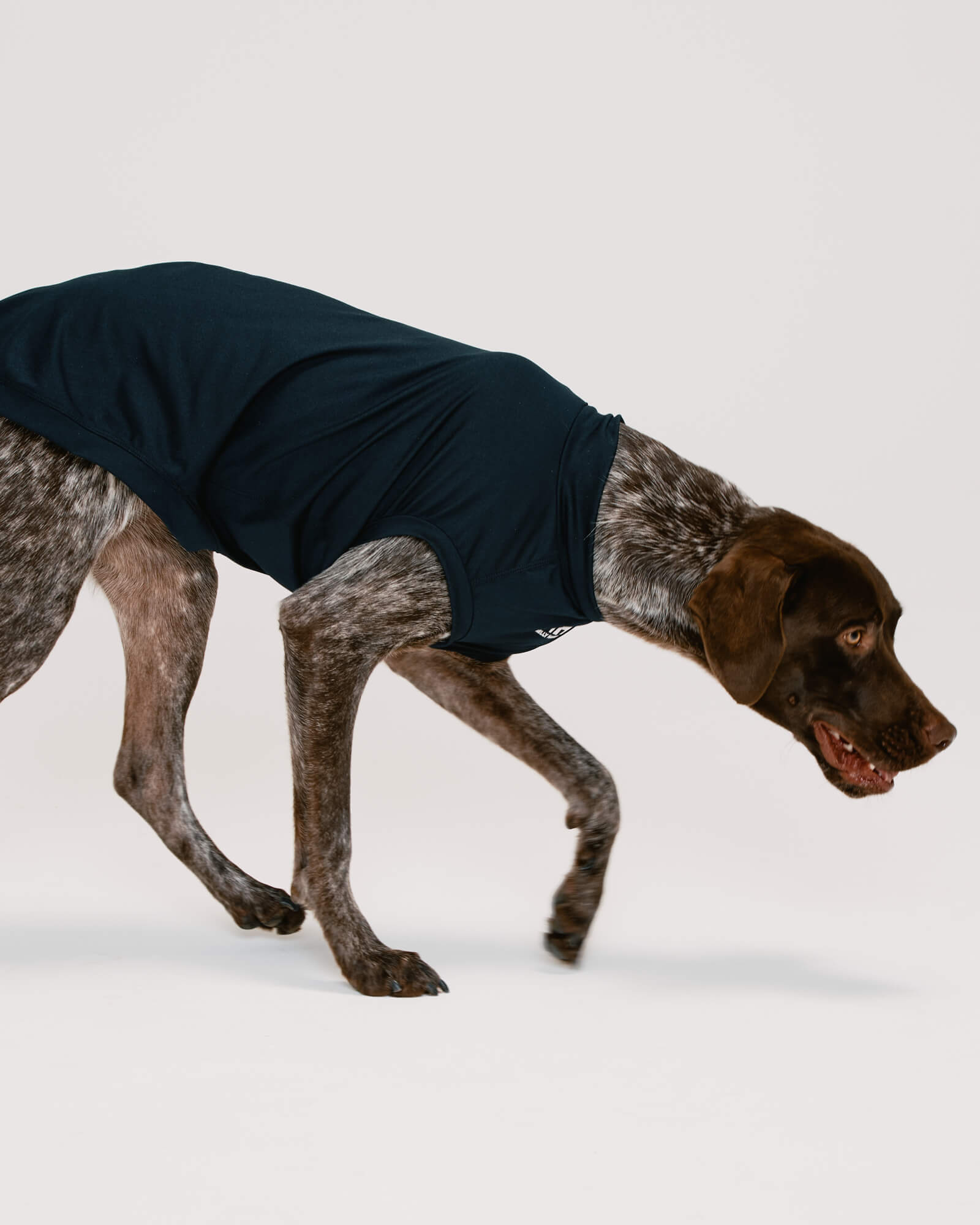 HH×Gris AMPHIBIOUS TEE