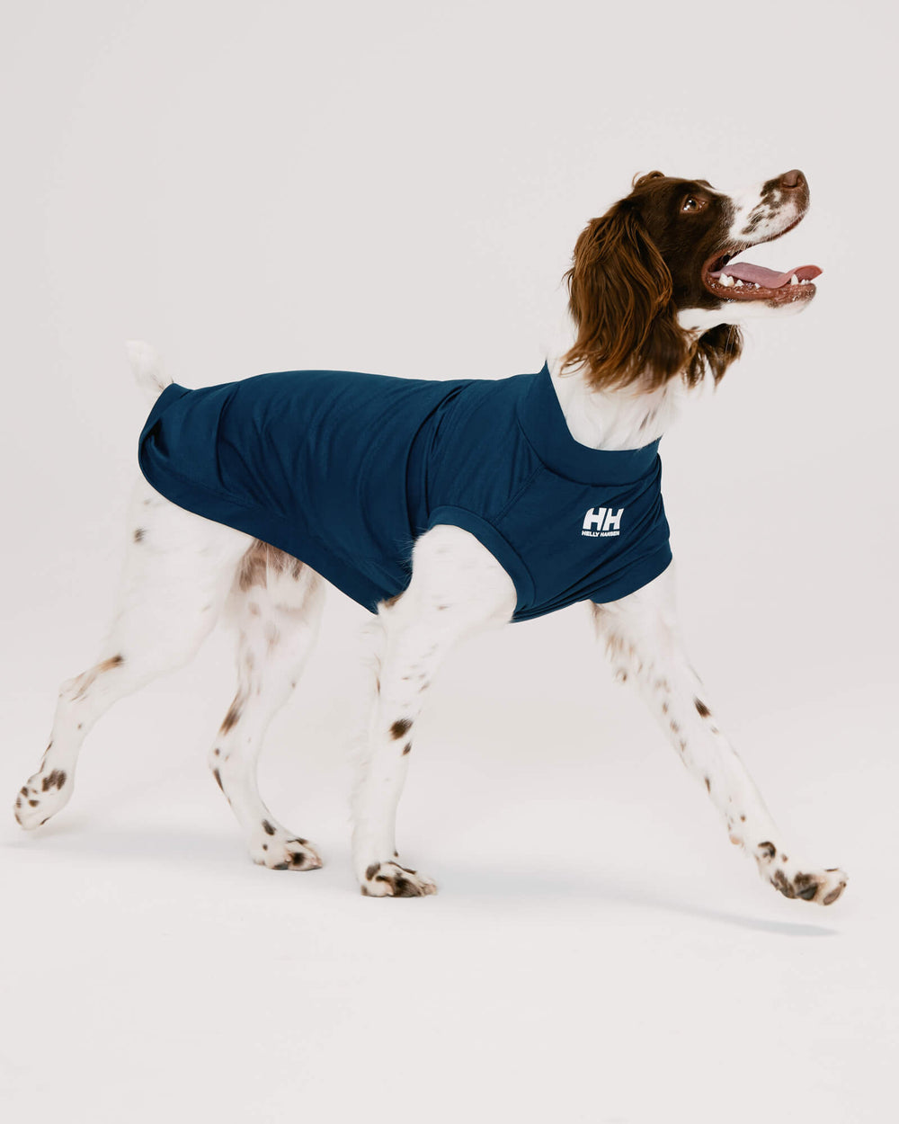 ブリタニースパニエル/首囲34胸囲57背丈47cm/AMPHIBIOUS TEE Ocean Navy L