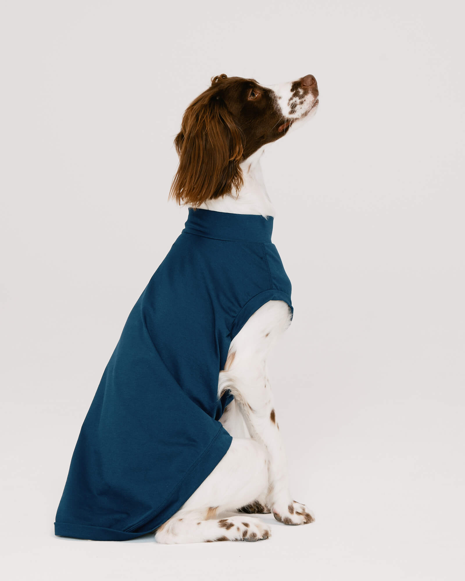 HH×Gris AMPHIBIOUS TEE