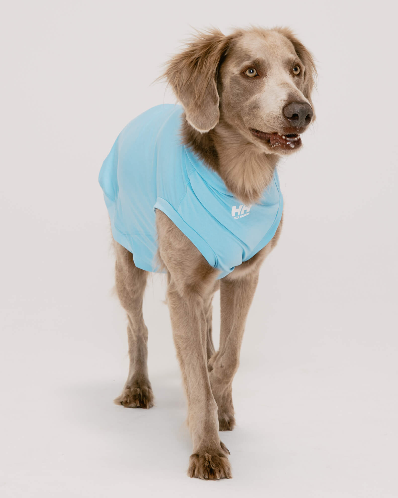 HH×Gris AMPHIBIOUS TEE