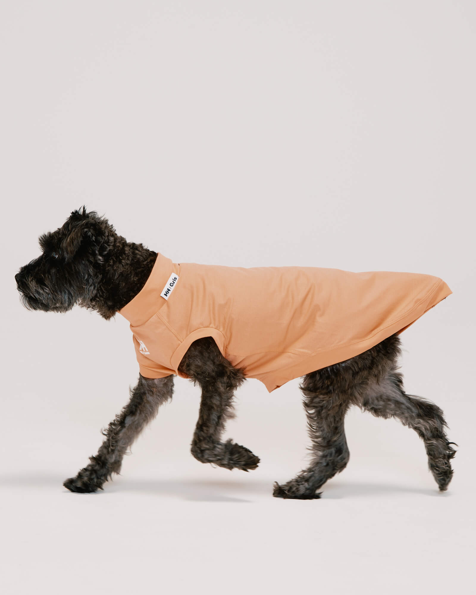 HH×Gris AMPHIBIOUS TEE