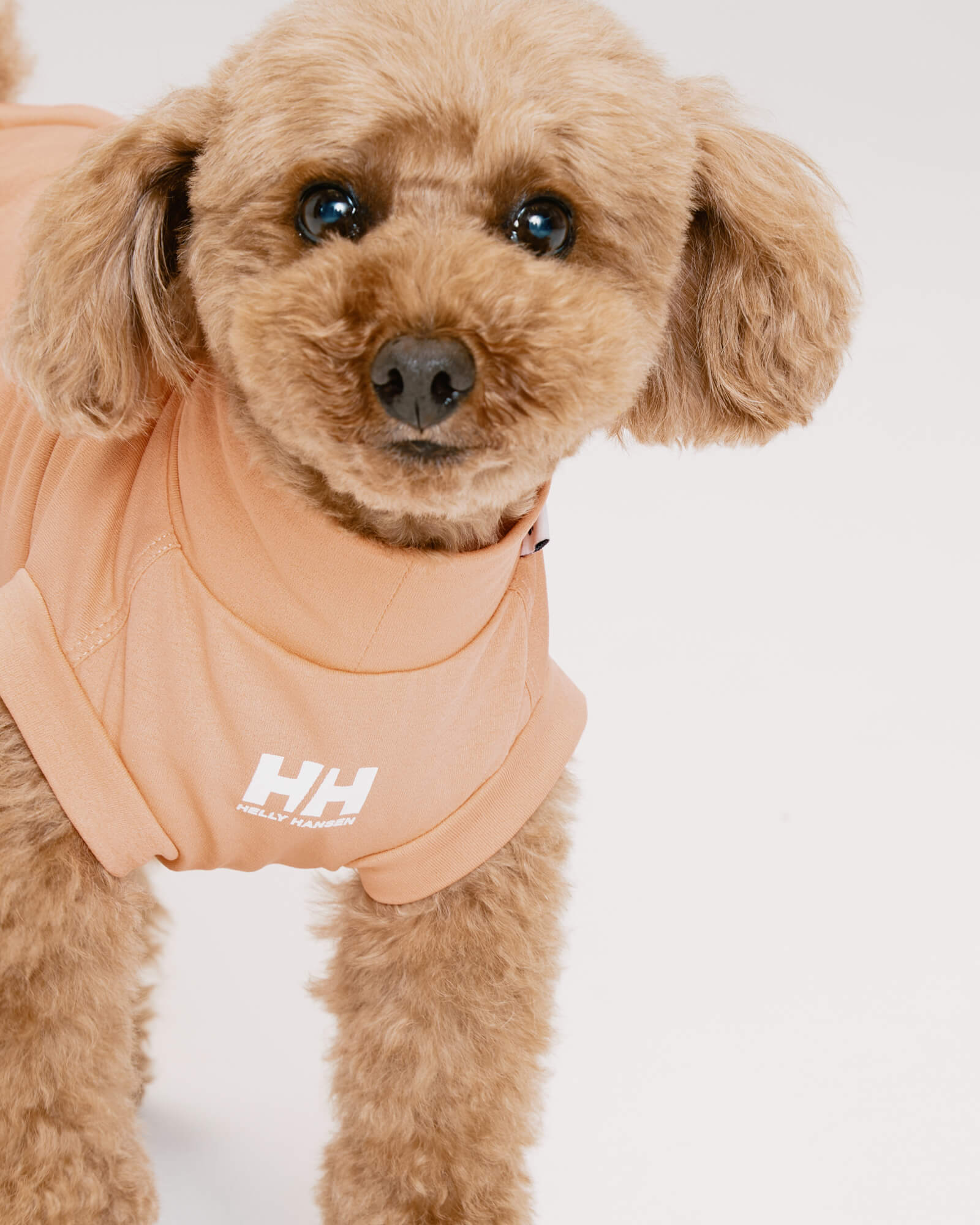 HH×Gris AMPHIBIOUS TEE