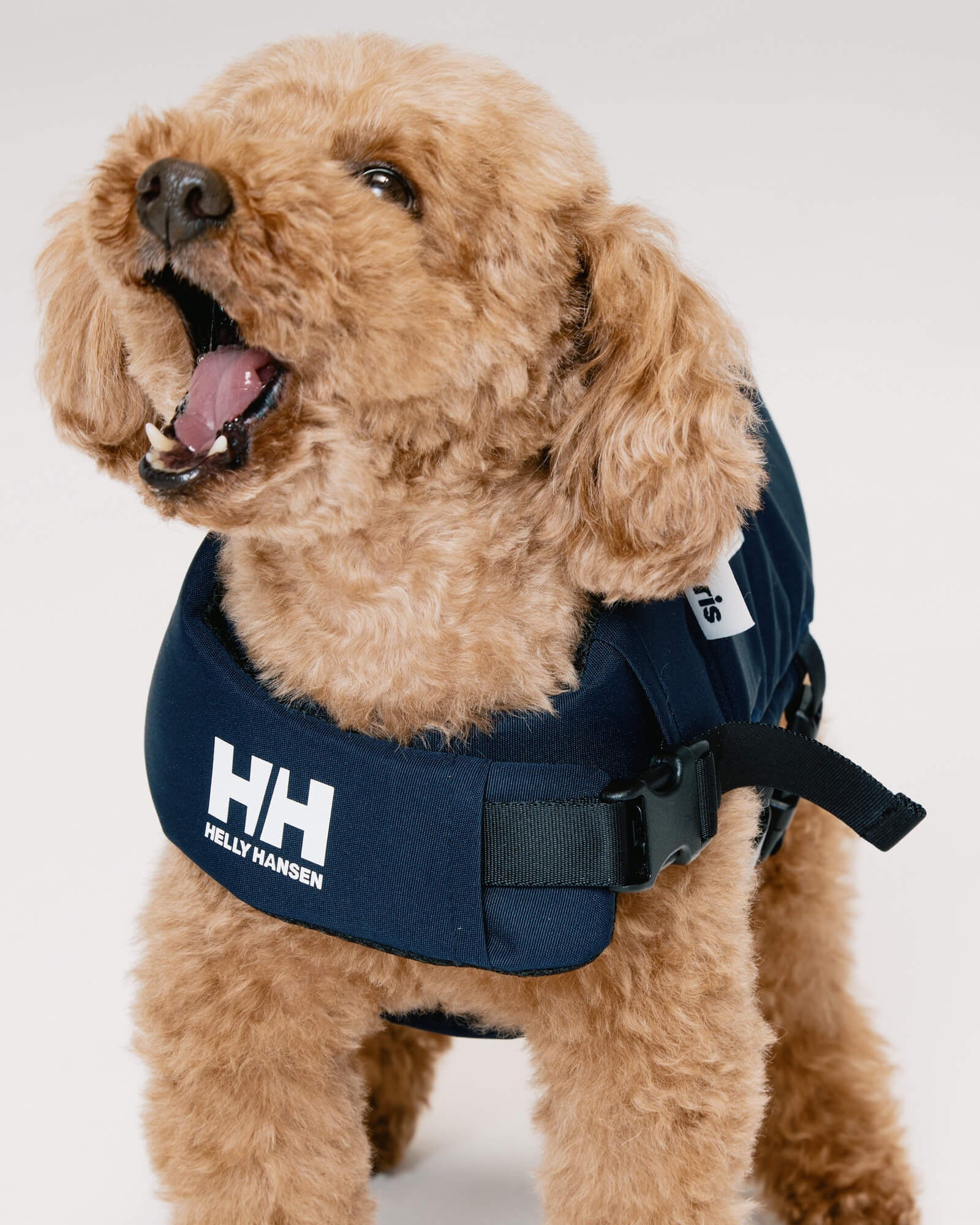 HH×Gris FLOATING VEST