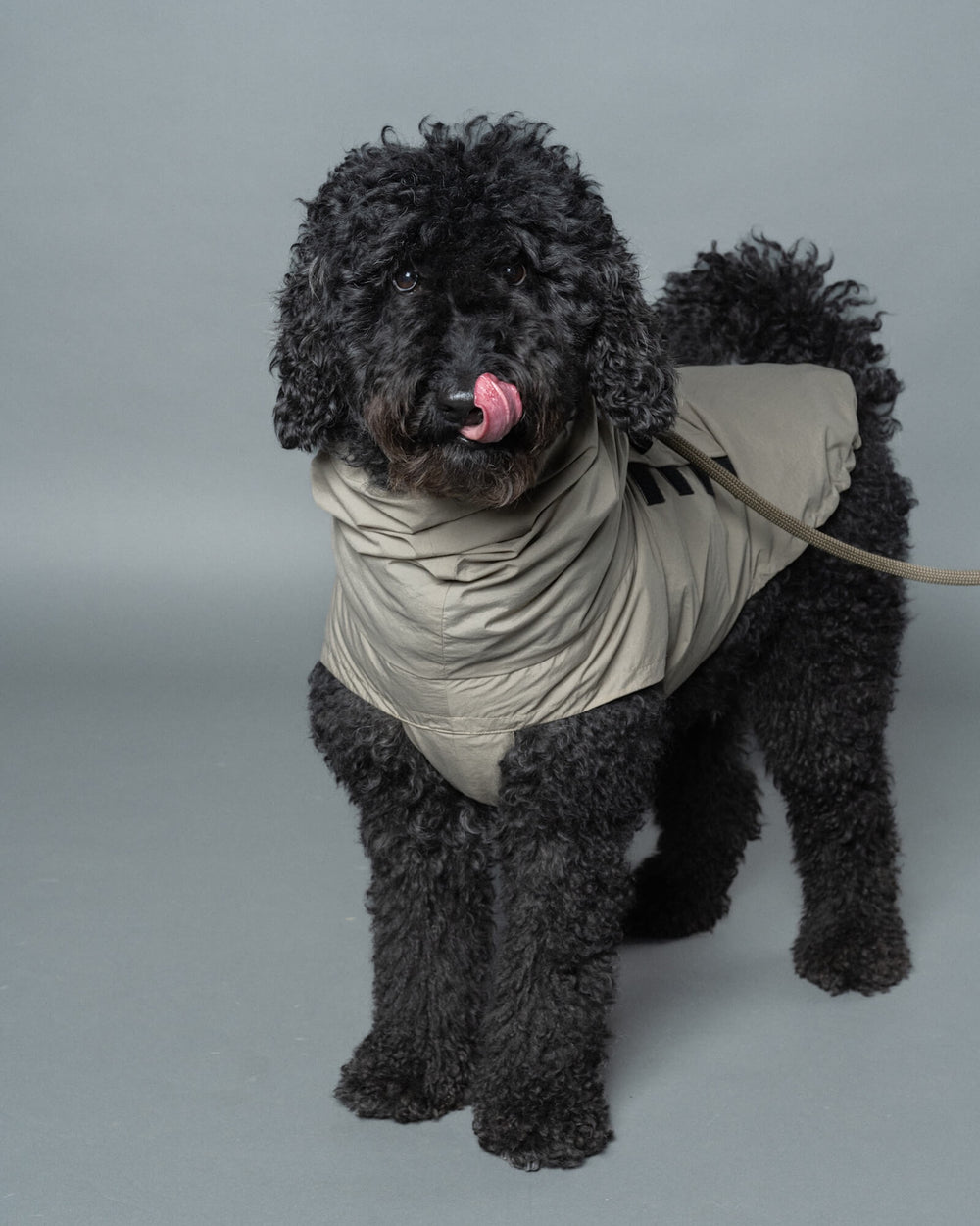 ドゥードゥル/首囲38胸囲65背丈60cm体重25kg/LITE RAIN COAT Weimaraner Grey XXL