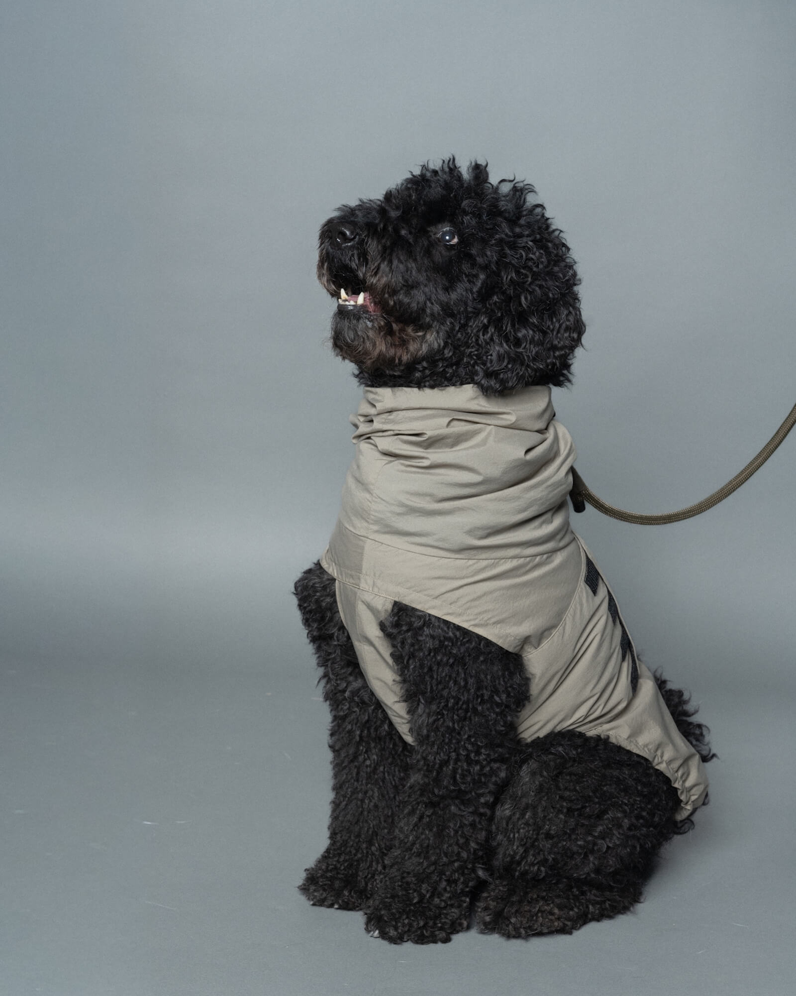 LITE RAIN COAT – Gris
