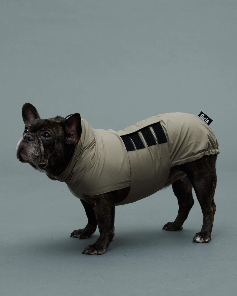 フレンチブルドッグ/首囲40胸囲62背丈41cm体重15kg/LITE RAIN COAT Weimaraner Grey L