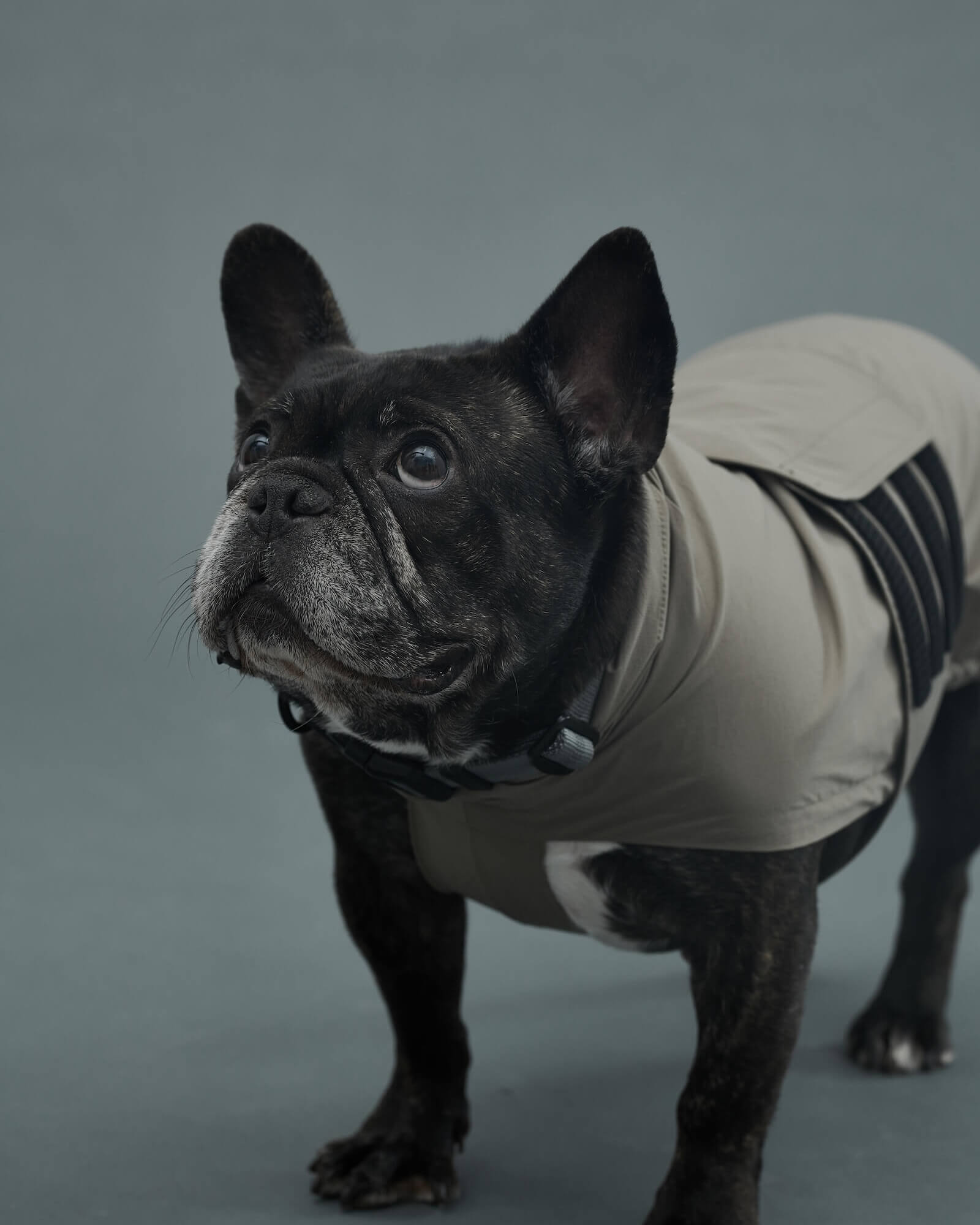 LITE RAIN COAT – Gris