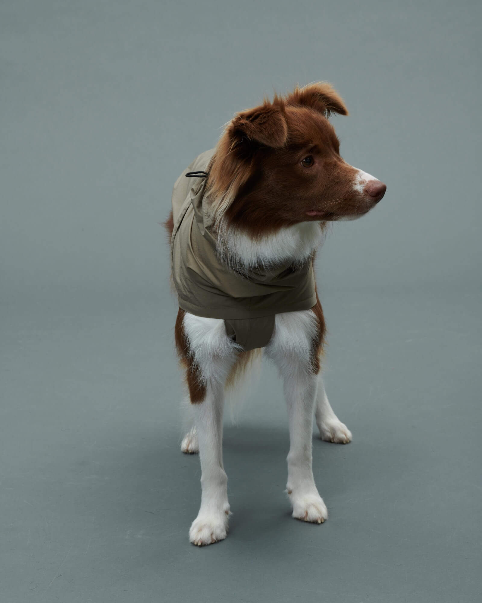 LITE RAIN COAT – Gris