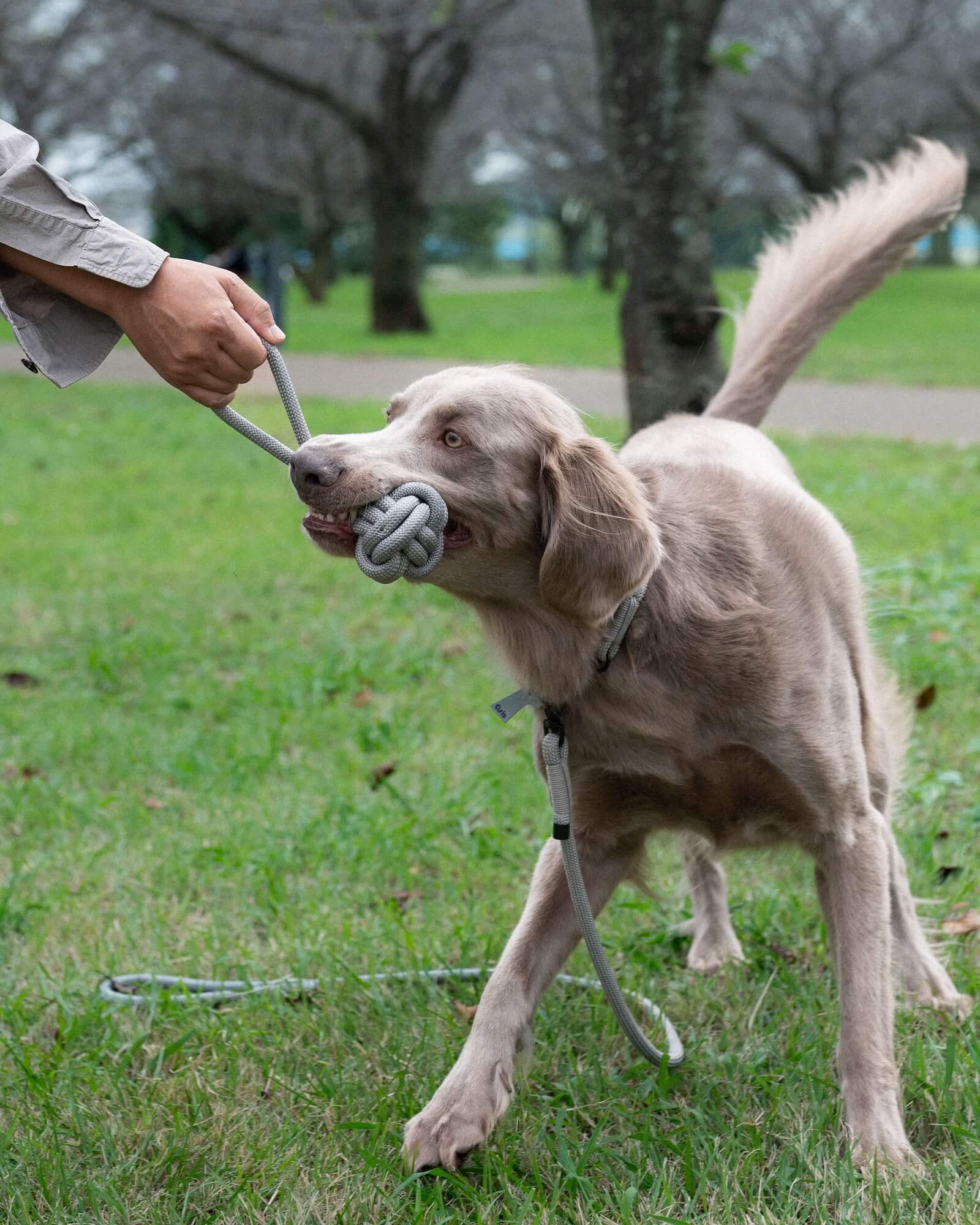 ROPE BALL TOY
