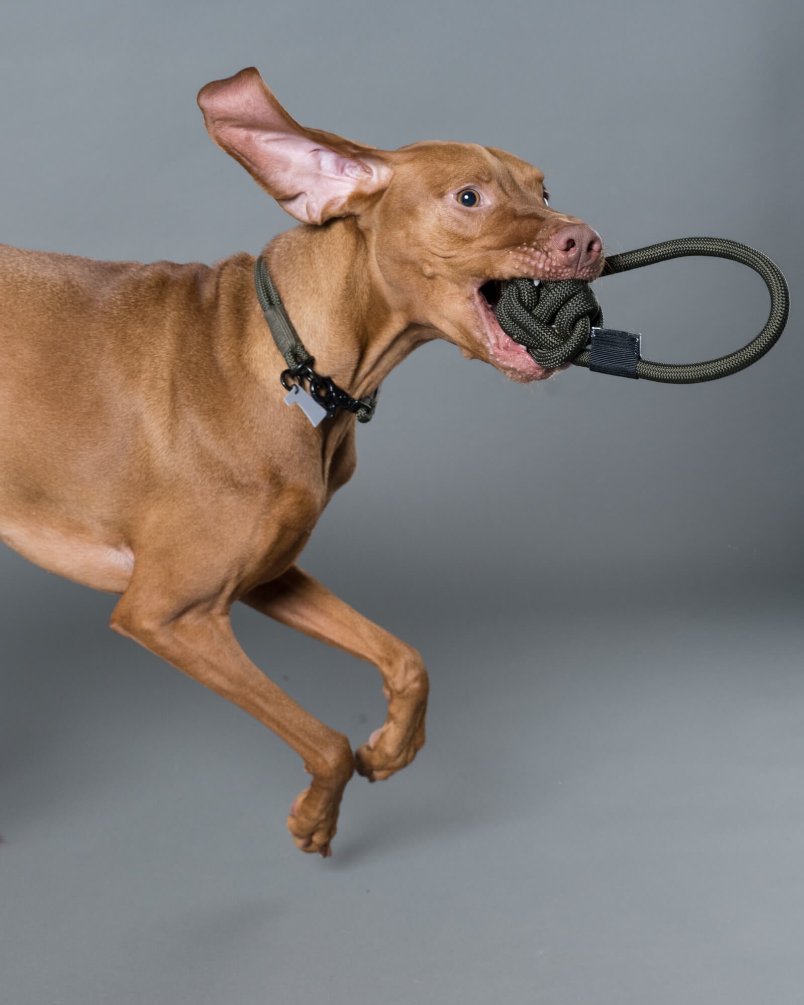 ROPE BALL TOY – Gris