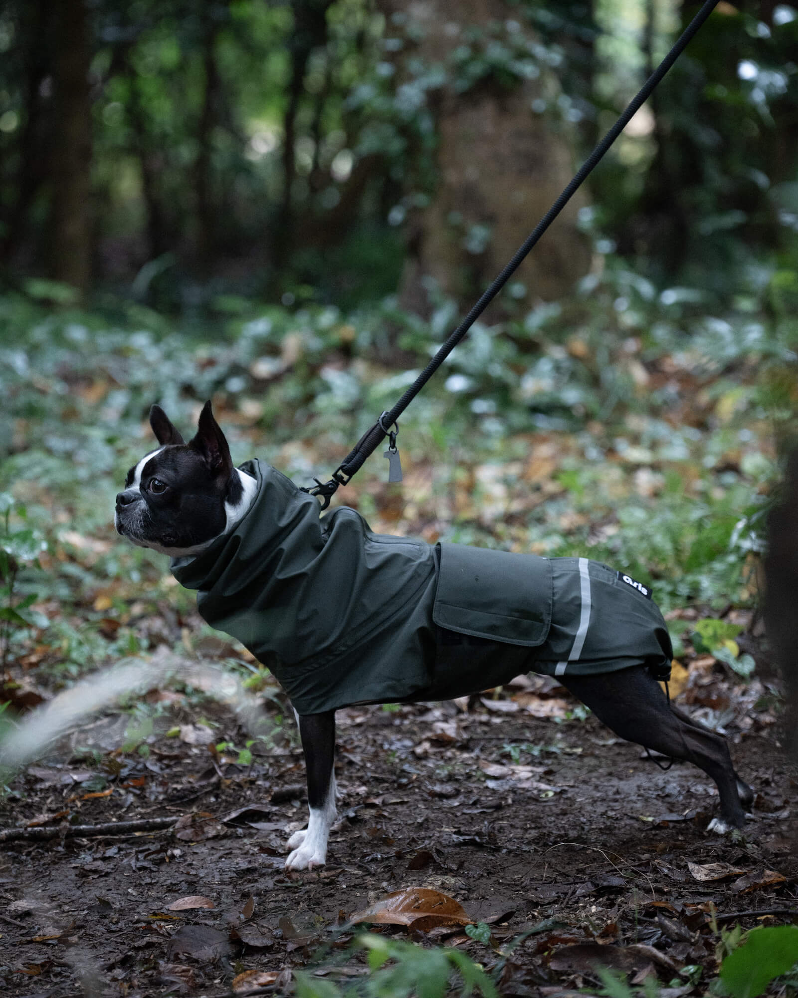 TAMA RAIN SHELL – Gris