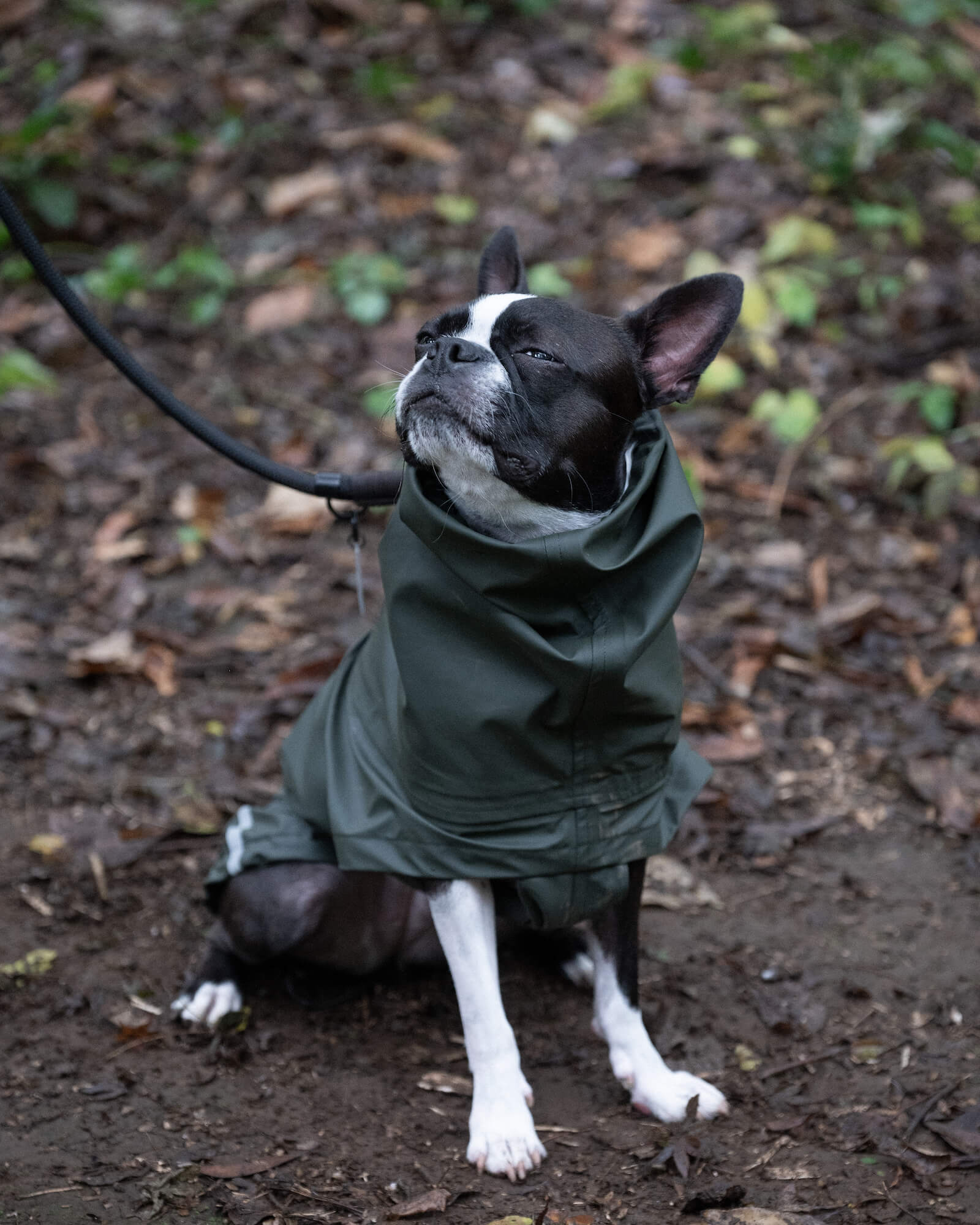 TAMA RAIN SHELL – Gris