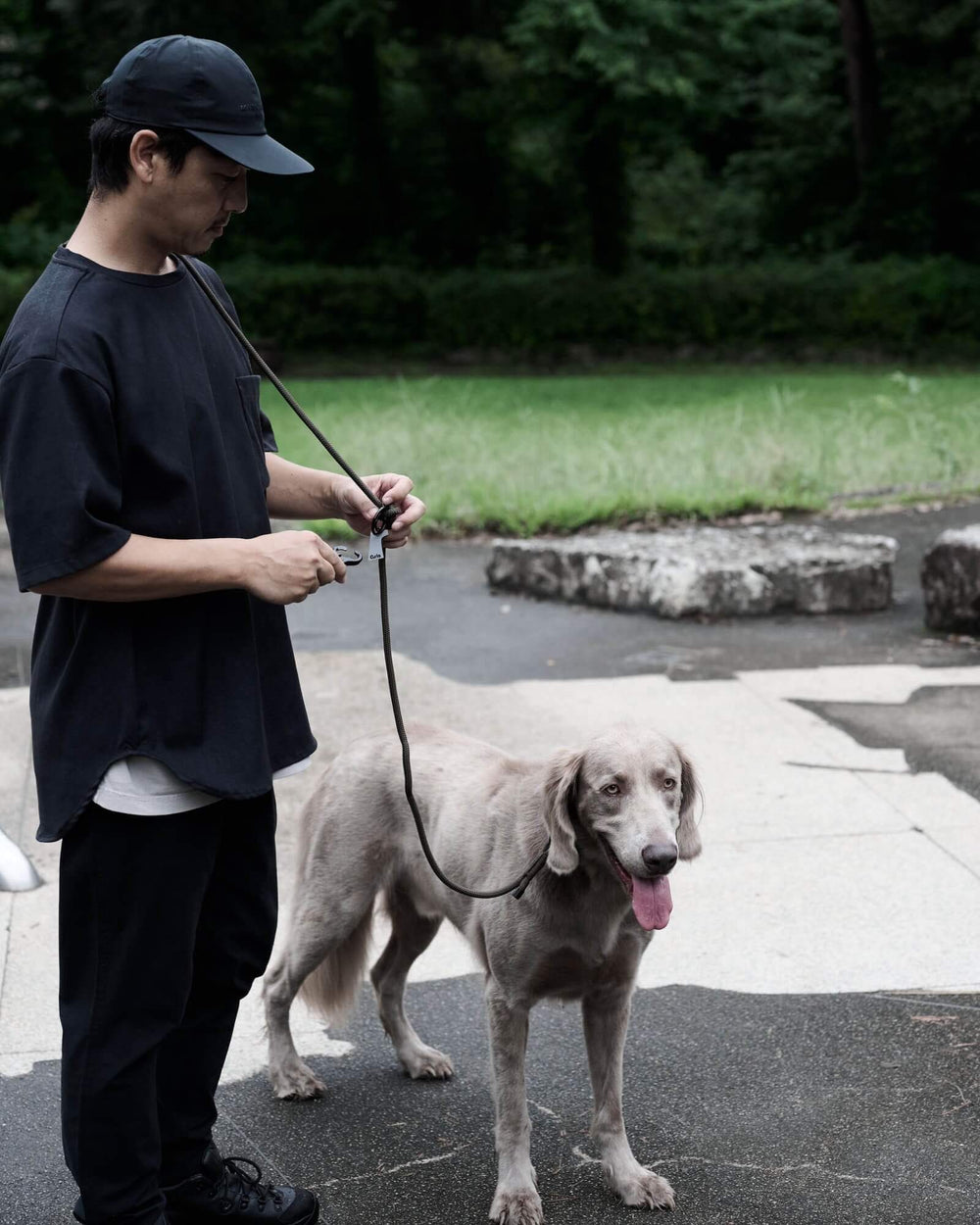 ワイマラナー/首囲44胸囲57背丈66cm体重37kg/THE SHOULDER LEASH Weimaraner Grey S